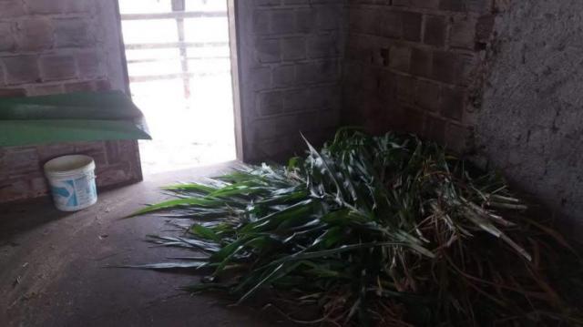 Sítio para venda em gravatá, nossa senhora das graças, 4 dormitórios, 2 suítes, 3 banheiro - Foto 7