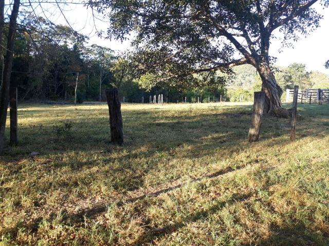 Fazenda 866 Hectares apos 35 km da Agrovila das Palmeiras - Foto 18