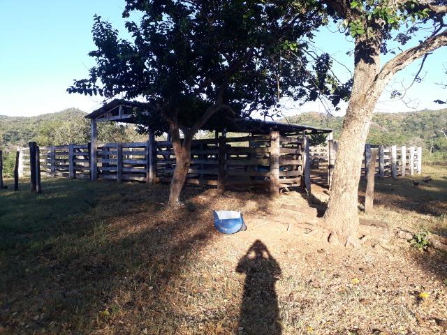 Fazenda 866 Hectares apos 35 km da Agrovila das Palmeiras - Foto 12
