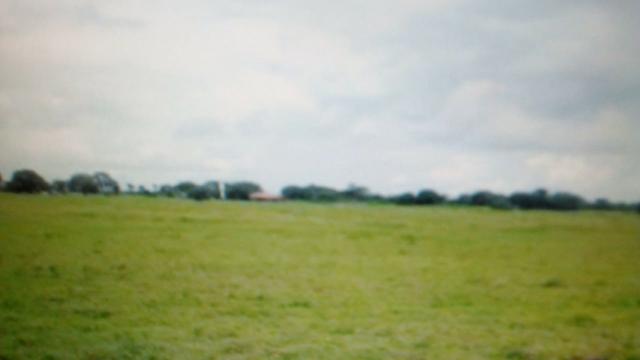Fazenda de 87.945 hectares, em pocone no pantanal Mato-Grossense ! - Foto 2