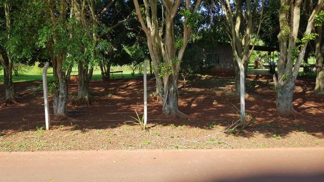 Chácara 12.500m² Alto da boa vista Próximo três lagoas Foz do Iguaçu - Foto 3