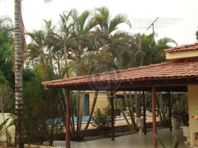 Sitio 52 hectares santo antonio - Foto 2