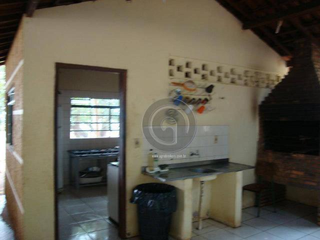 Sitio 52 hectares santo antonio - Foto 8