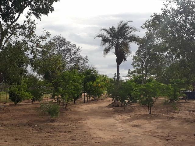 Lindo perfeito sitio em jacobina bahia pronto pra morar proximo a faculdade de Medicina - Foto 14