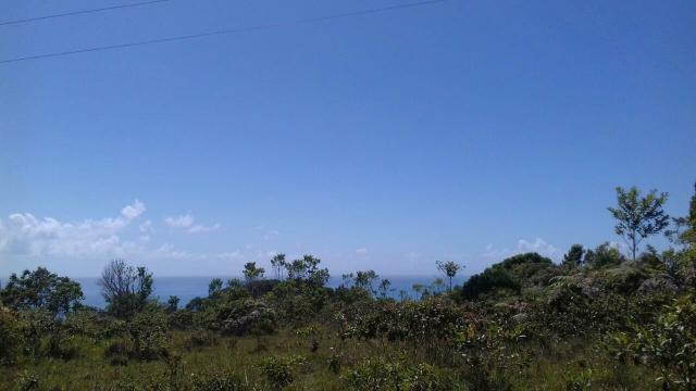 Área rodovia Ilhéus -Itacaré - Foto 2