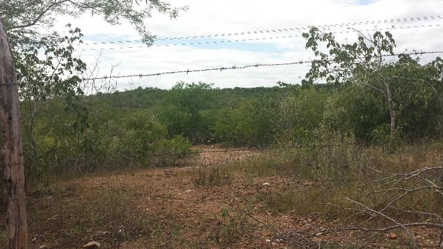 3 Lotes para Cácaras - Oportunidade - Foto 11