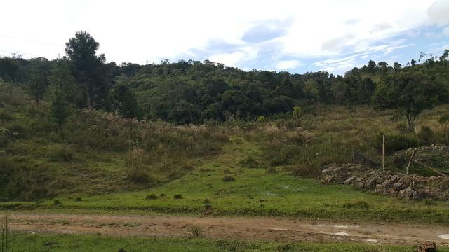 Terreno de 30.000m2 para chácara em Campo Alegre - Foto 12