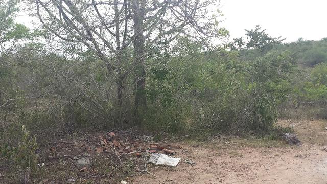 3 Lotes para Cácaras - Oportunidade - Foto 14