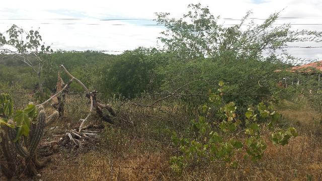 3 Lotes para Cácaras - Oportunidade - Foto 4