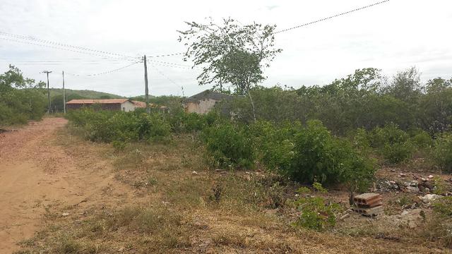 3 Lotes para Cácaras - Oportunidade - Foto 3