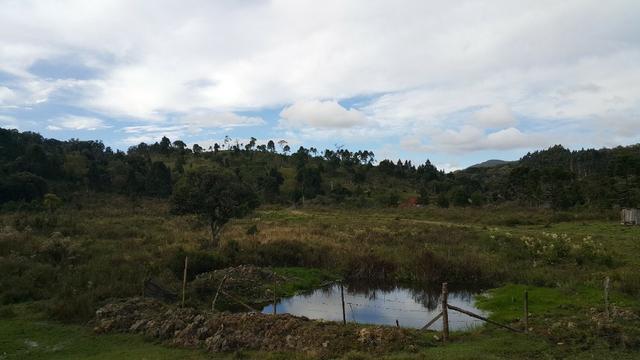 Terreno de 30.000m2 para chácara em Campo Alegre - Foto 5