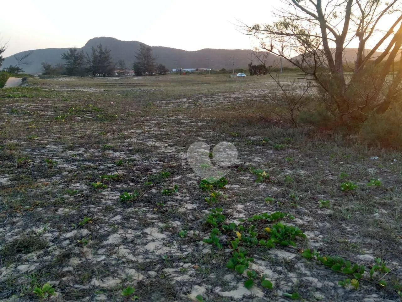 Terreno à venda, 1145m² por R$ 650.000 - Tucuns - Armação dos Búzios/RJ - Foto 4