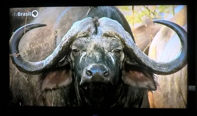 LG 42LH70YD-SE 42" Lcd TV - Foto 4