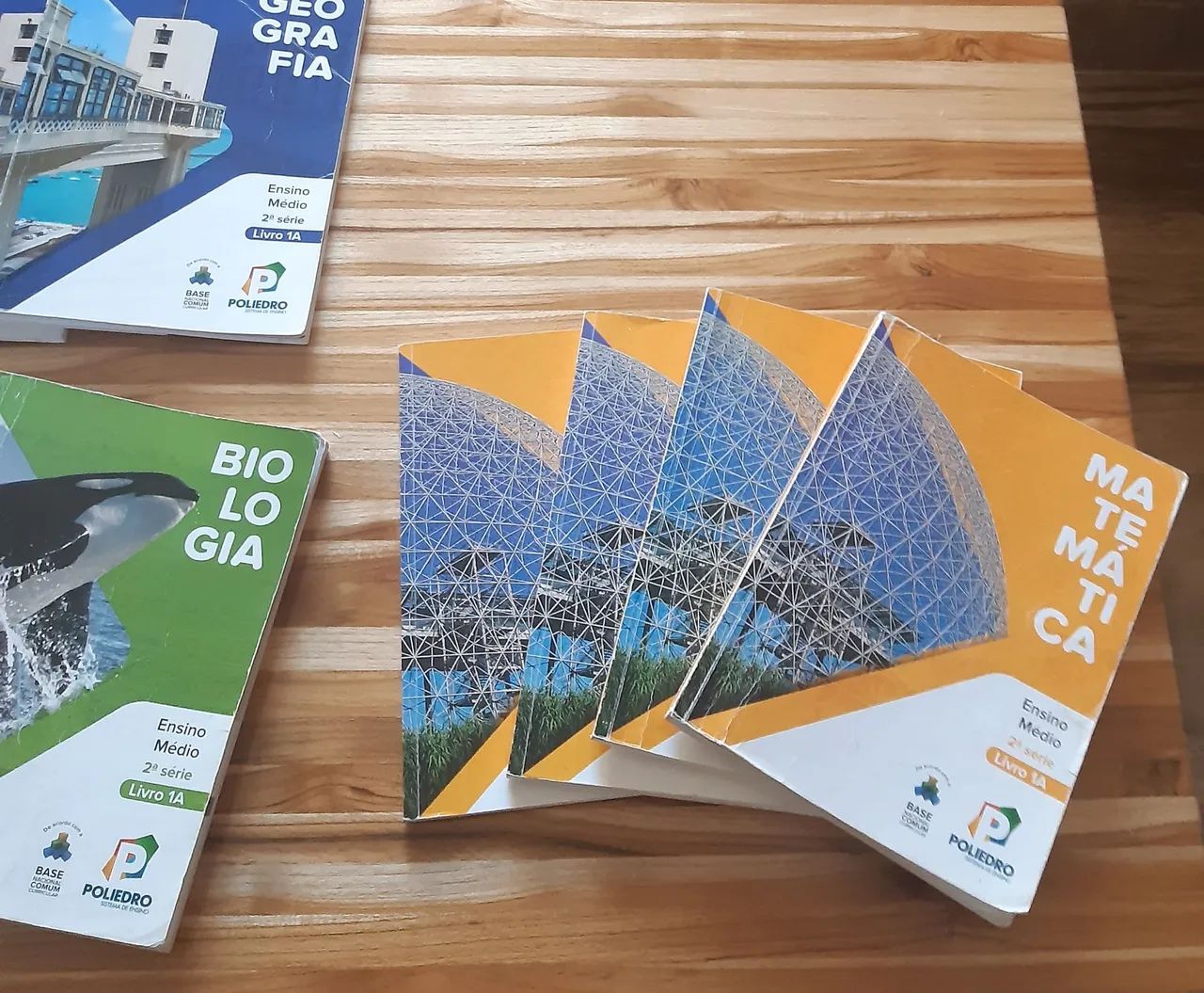 DOAÇÃO LIVROS SAGRADA FAMÍLIA 2°ano do Ensino Médio 2022 - Foto 3