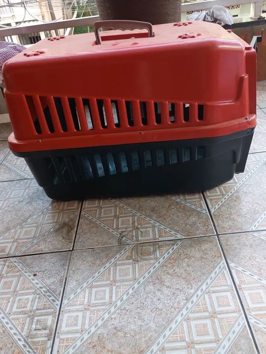 Caixa de transporte (Tam 4)  - Foto 4