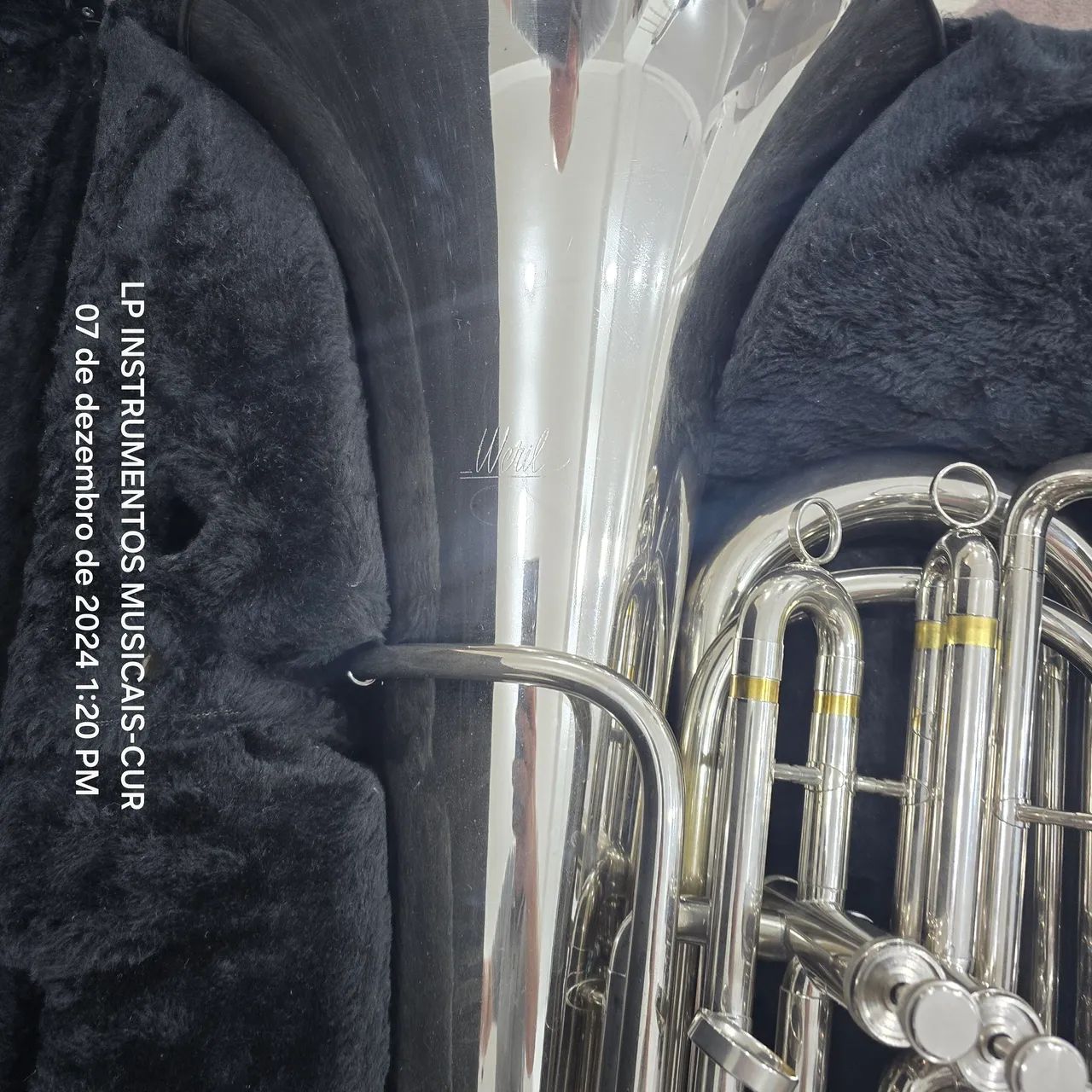 Tuba weril - Foto 3