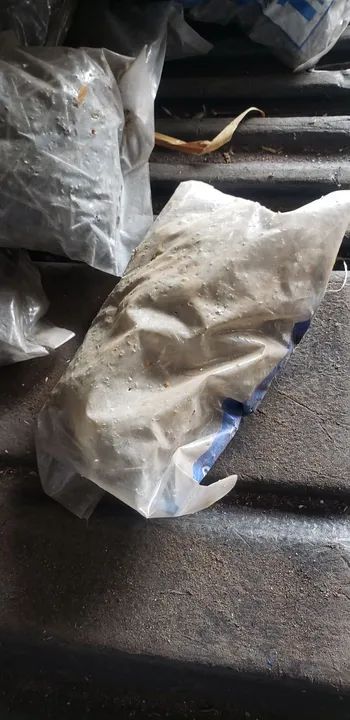 Pregos 15x15 e 13x18 - Foto 5