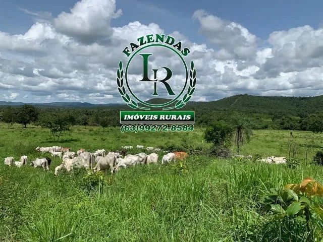 Fazenda / chácara 10 Alqueires Dupla Aptidão - Foto 2