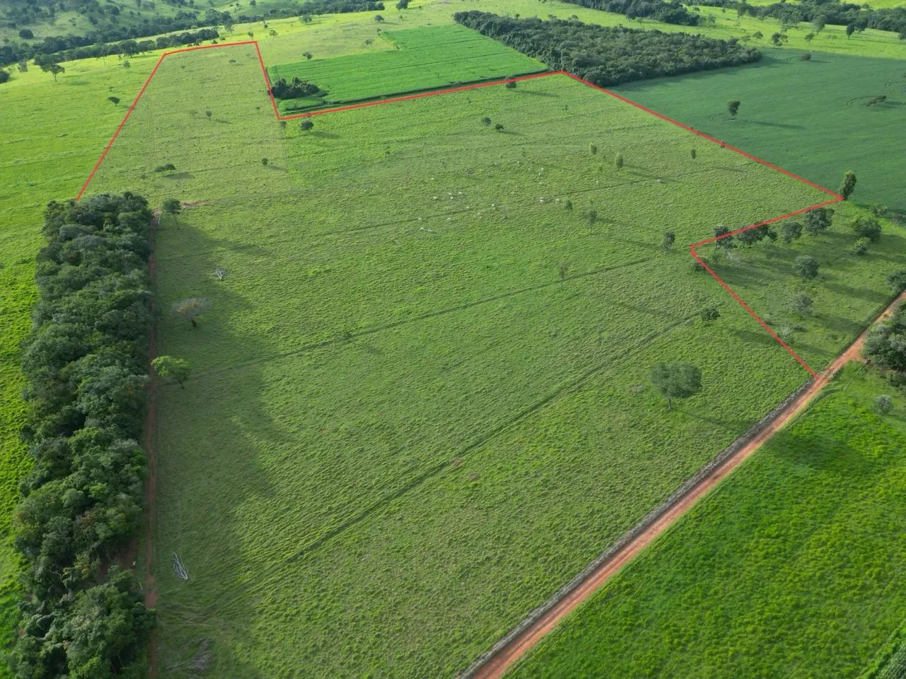 chácara em bela vista de Goiás - Foto 3