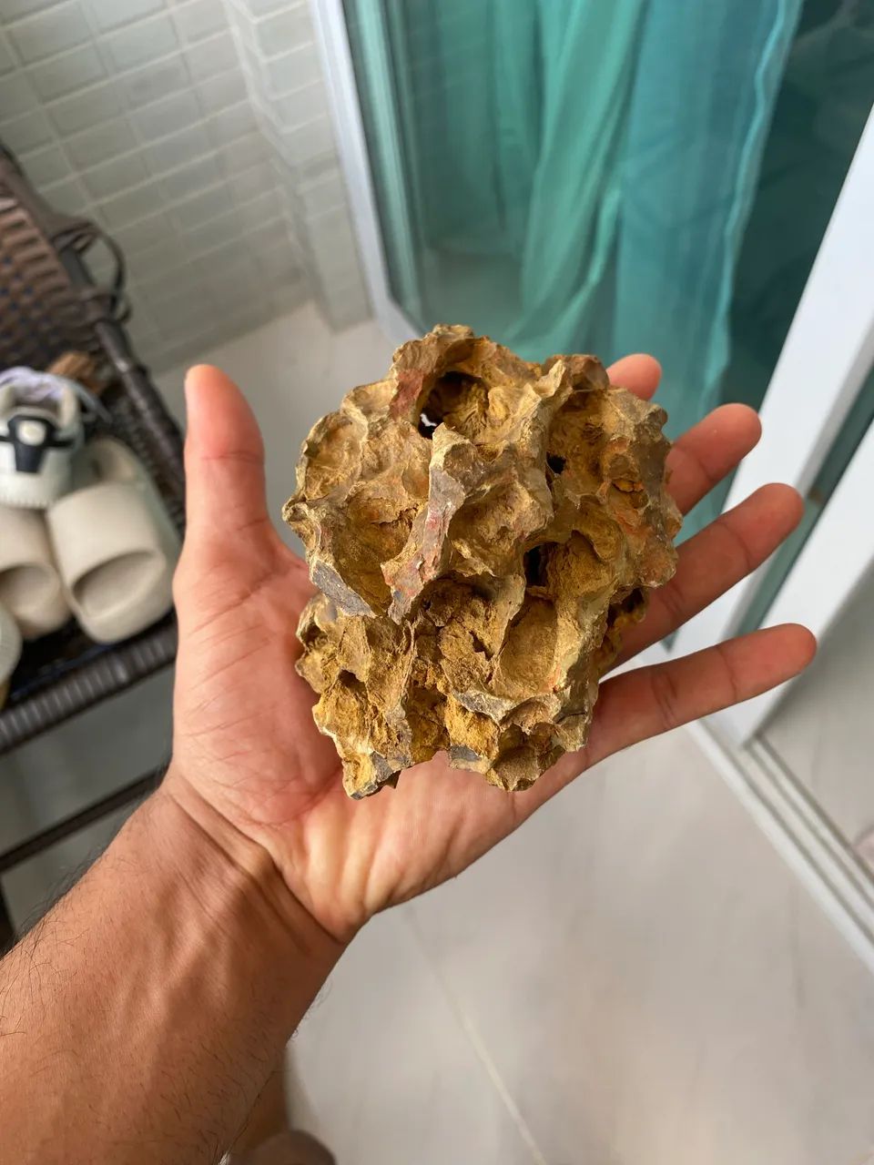 Tronco e rochas - Foto 4