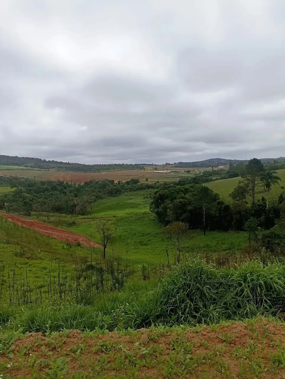 Imóvel para venda tem 600 metros quadrados em Centro - Cotia - SP - Foto 4
