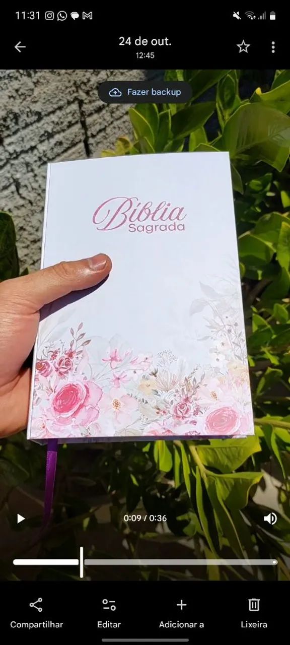Reforma de Bíblia - Foto 4