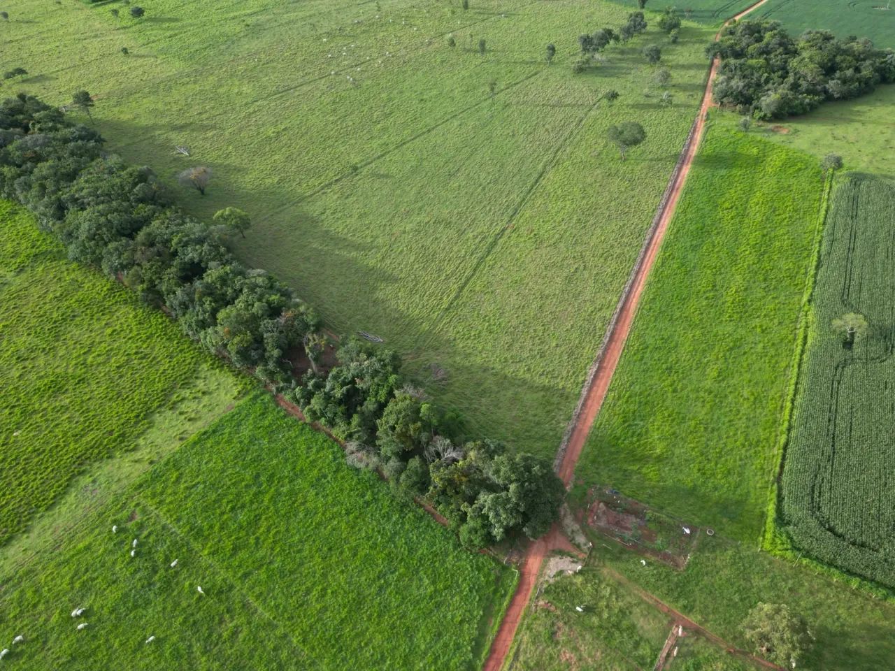 chácara em bela vista de Goiás - Foto 4