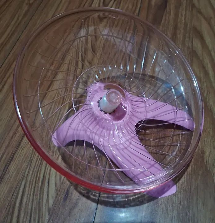 Roda para hamster 