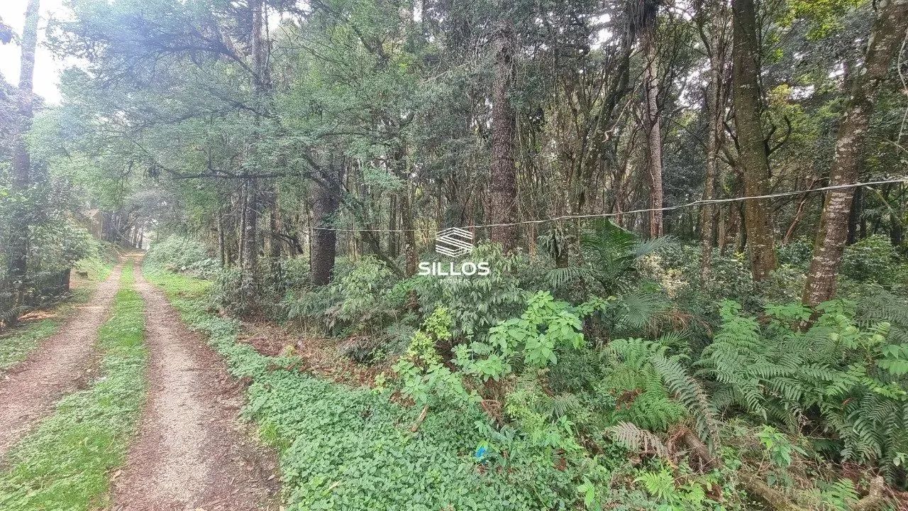 Terreno à venda com 6.309,40m² no São Gabriel - Colombo/PR - Foto 10
