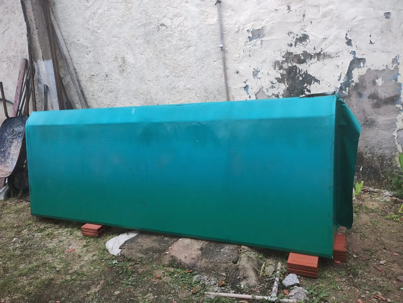 Toldo