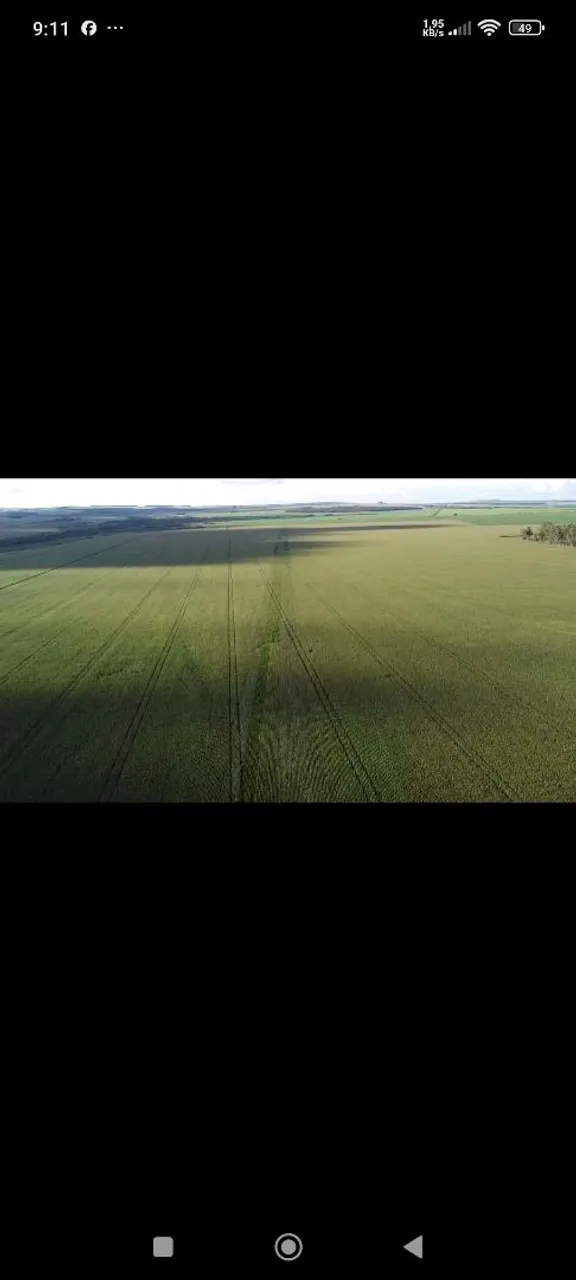 Fazenda arrendamento 740hec em Maracaju MS . Argila 25 a 35%