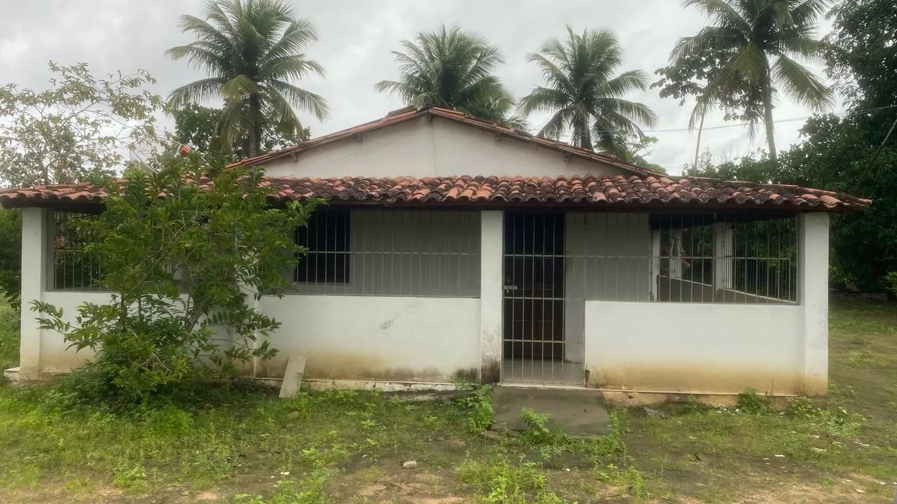 Chácara na Asa Branca. 250mil