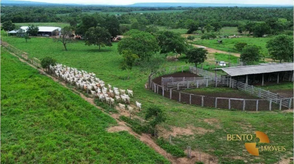 Fazenda com alta capacidade de suporte.
