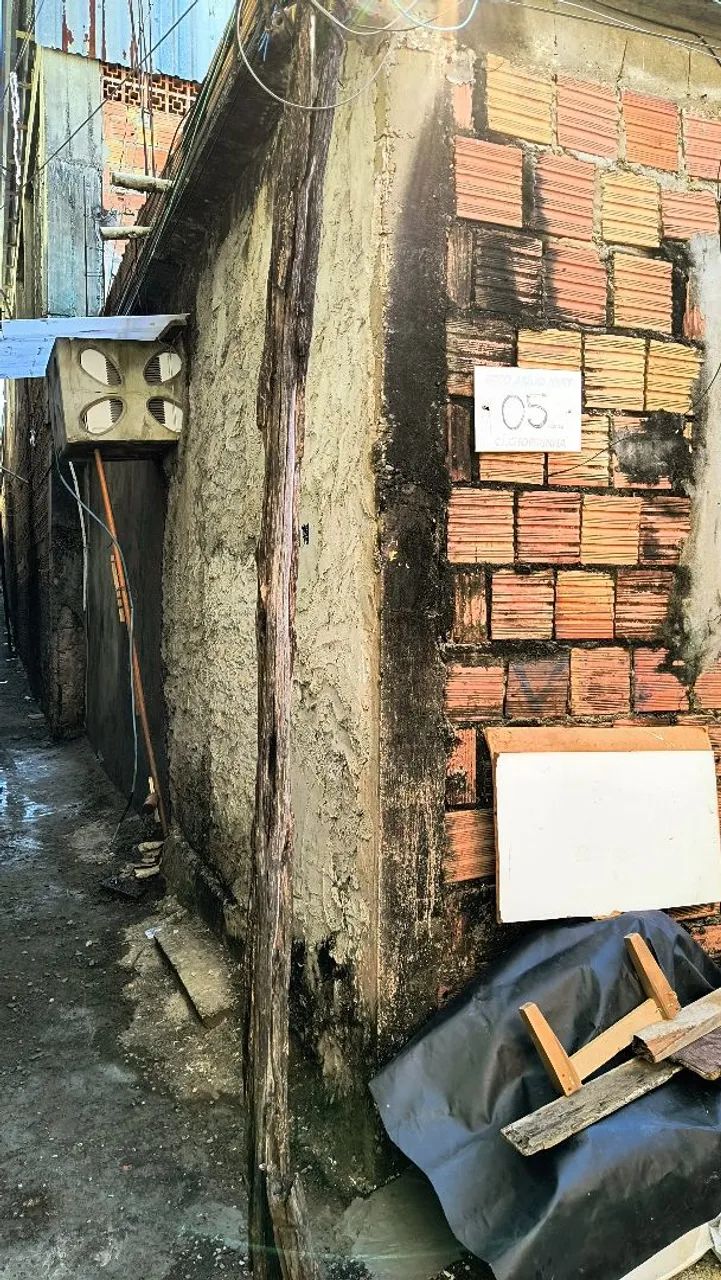 Foto - Manaus - Japiim