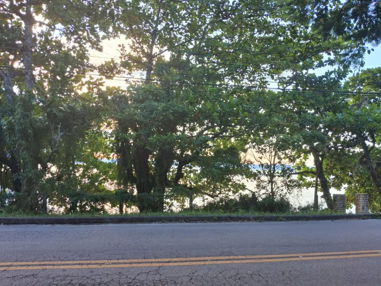 Excelente oportunidade de Investimento - Ribeirão da Ilha Florianopolis SC - Foto 2