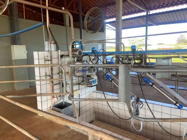 Sistema de Ordenha Automatizado com Aquecimento Solar e Estrutura Metálica(usada em otimo) - Foto 3