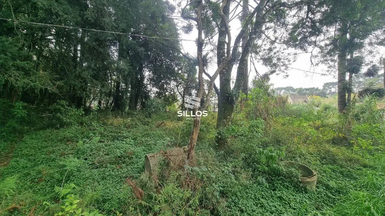 Terreno à venda com 6.309,40m² no São Gabriel - Colombo/PR - Foto 8