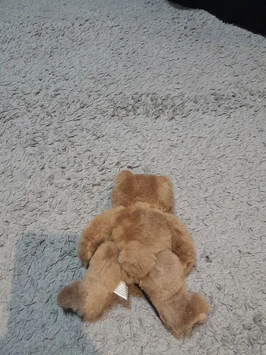Ursinho! - Foto 4