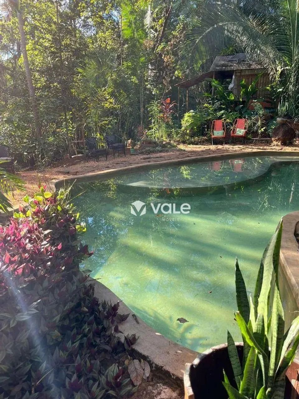 Pousada Pouso das Araras - Foto 3