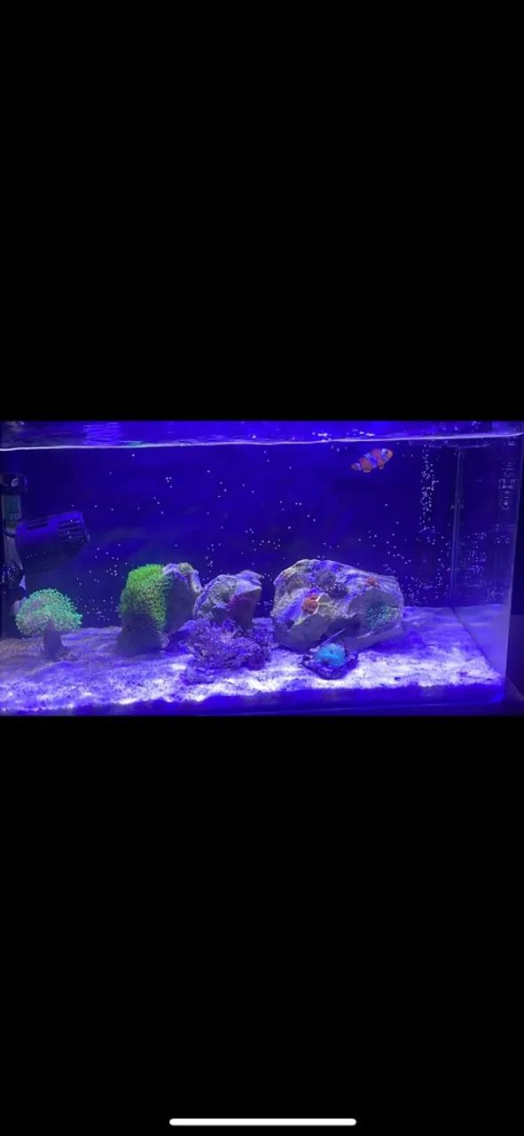 Aquário 40l