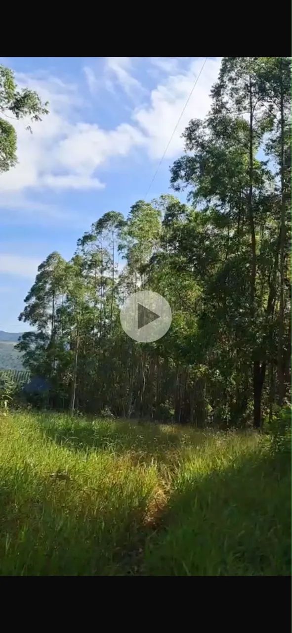 Terreno no Sul de Minas - Foto 2