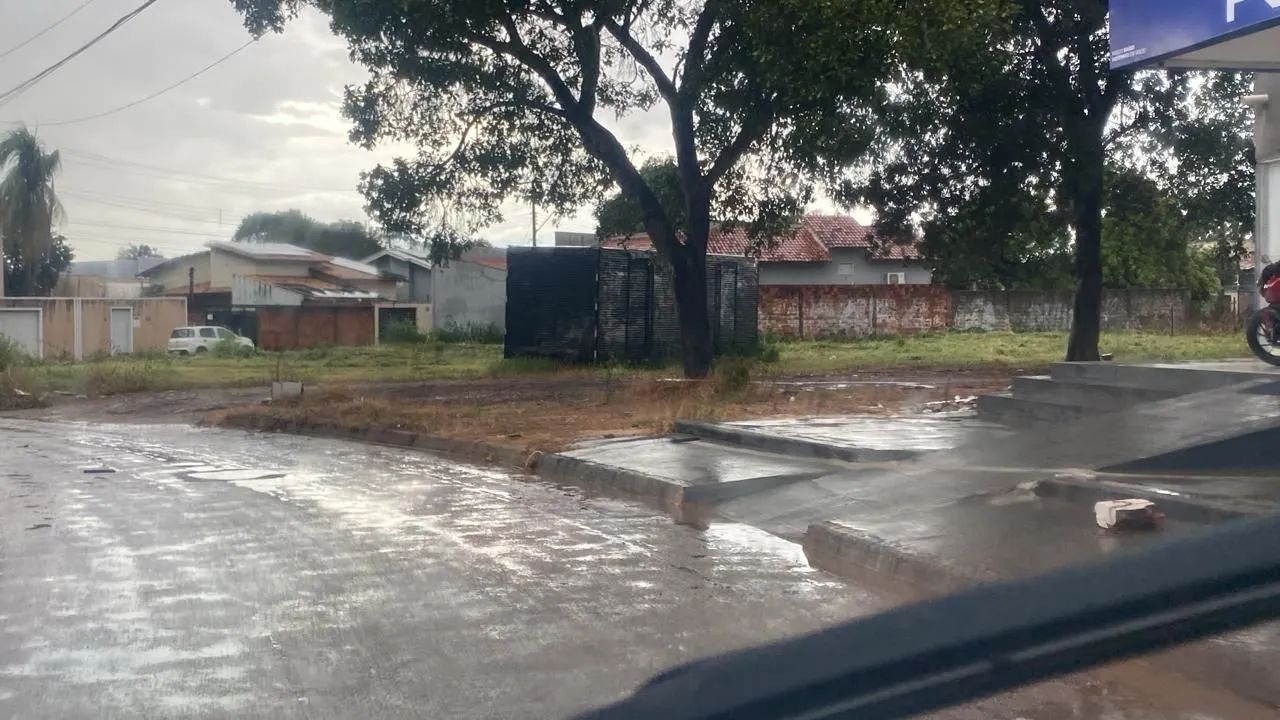 Foto - Palmas - 