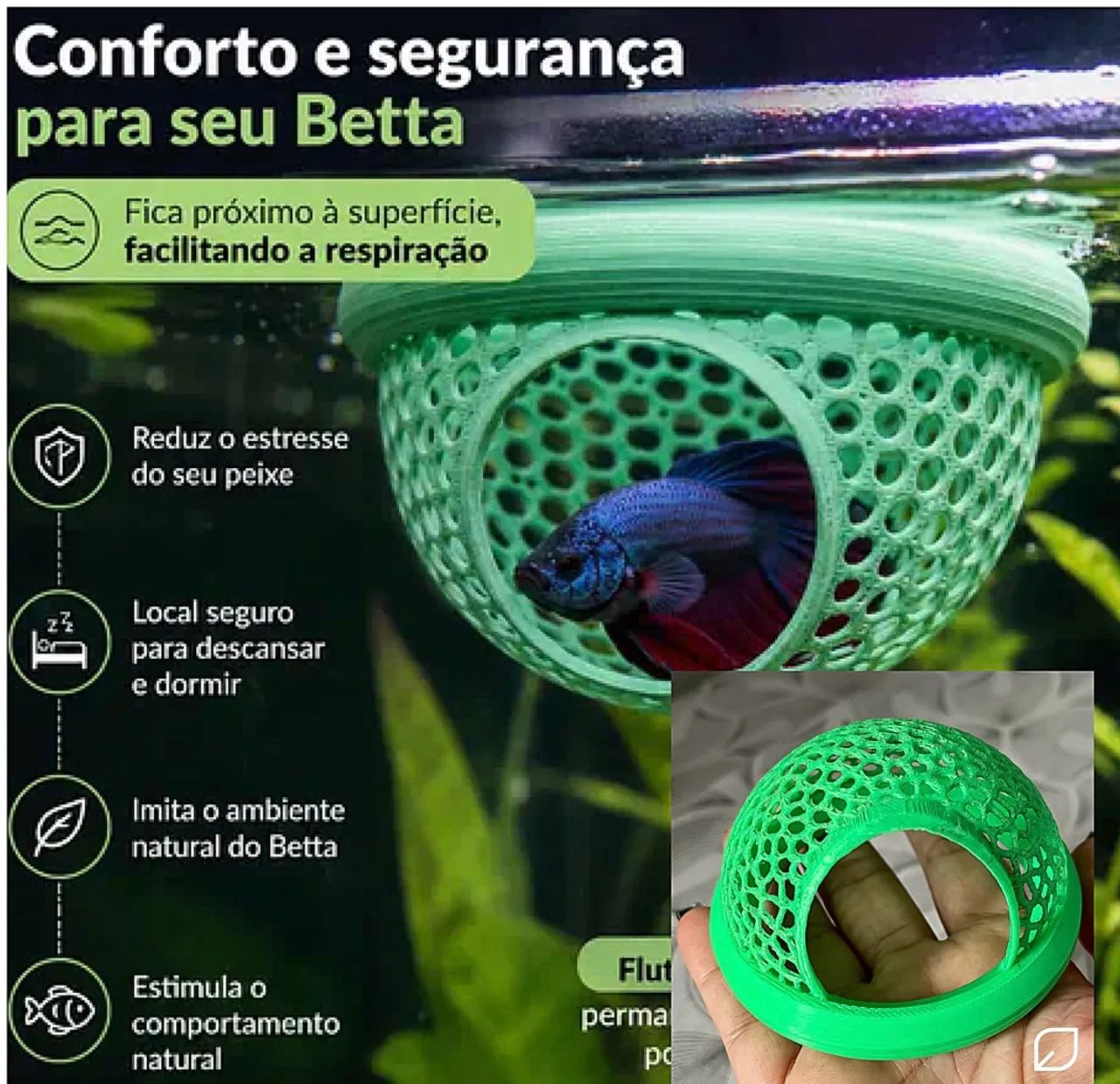 Descansa Betta