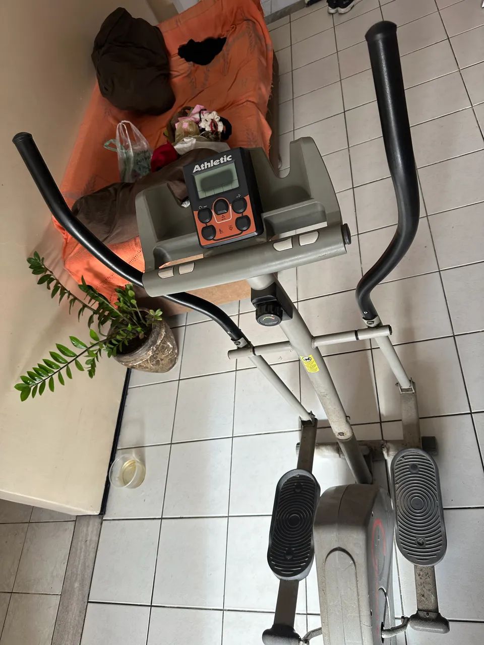 Eliptio - Foto 3
