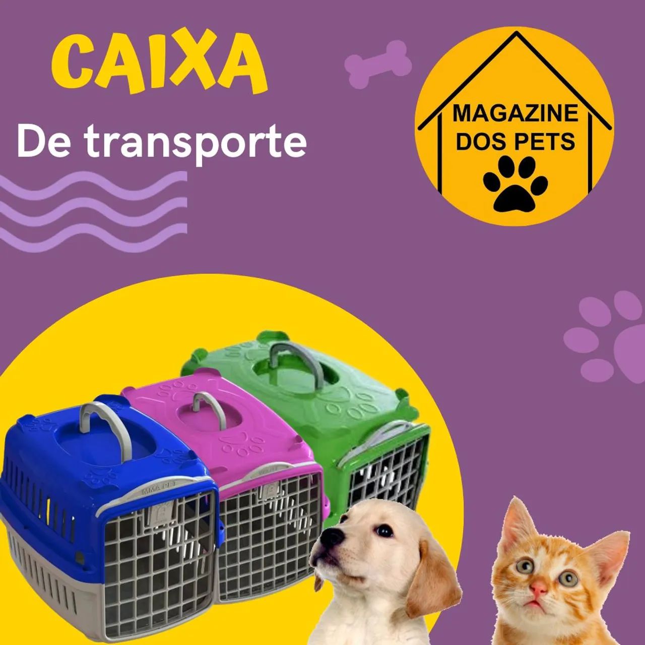 Caixa de transporte número 3