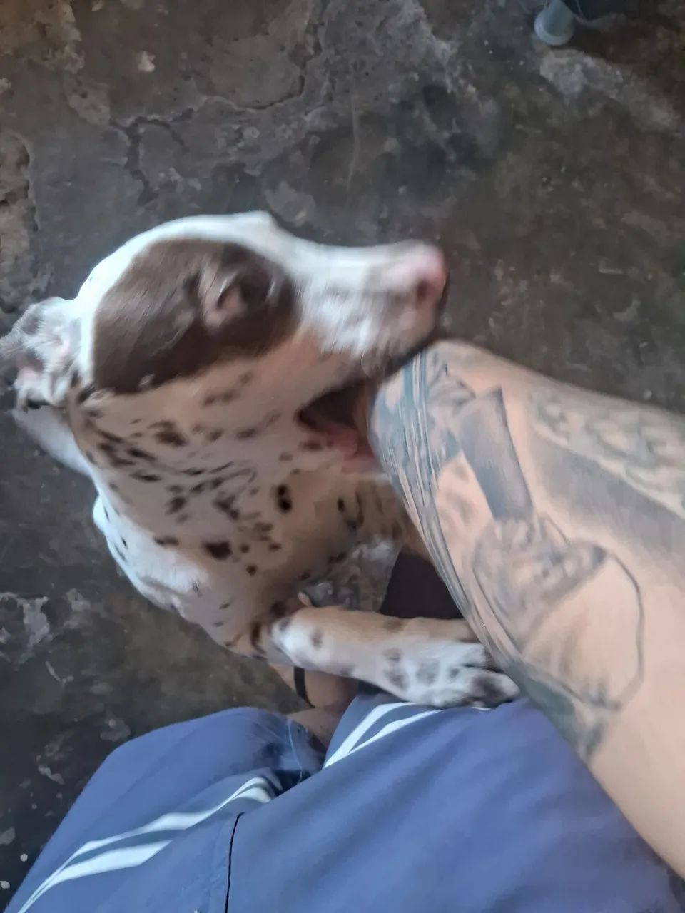 Pra vender - Foto 2
