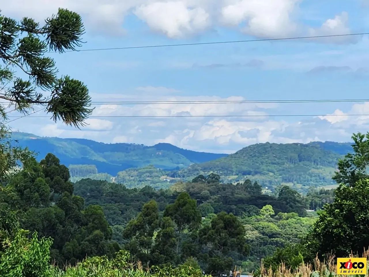 Sítio / Chácara para Venda em Nova Petrópolis, Nove Colonias - Foto 11