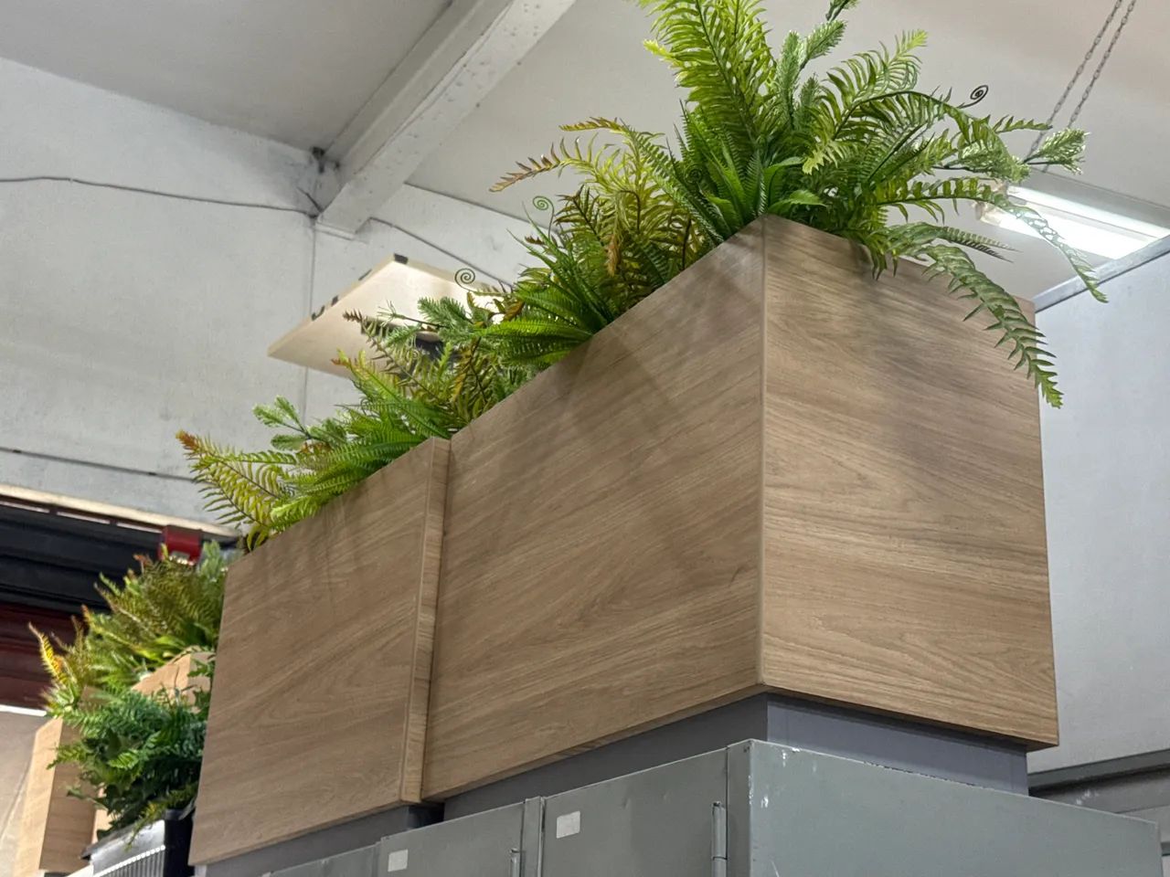 Vasos com plantas  - Foto 4