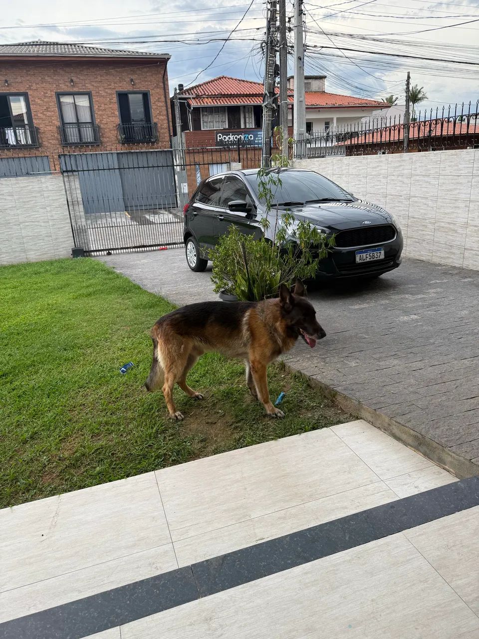 TIRAR CRIA  - Foto 4