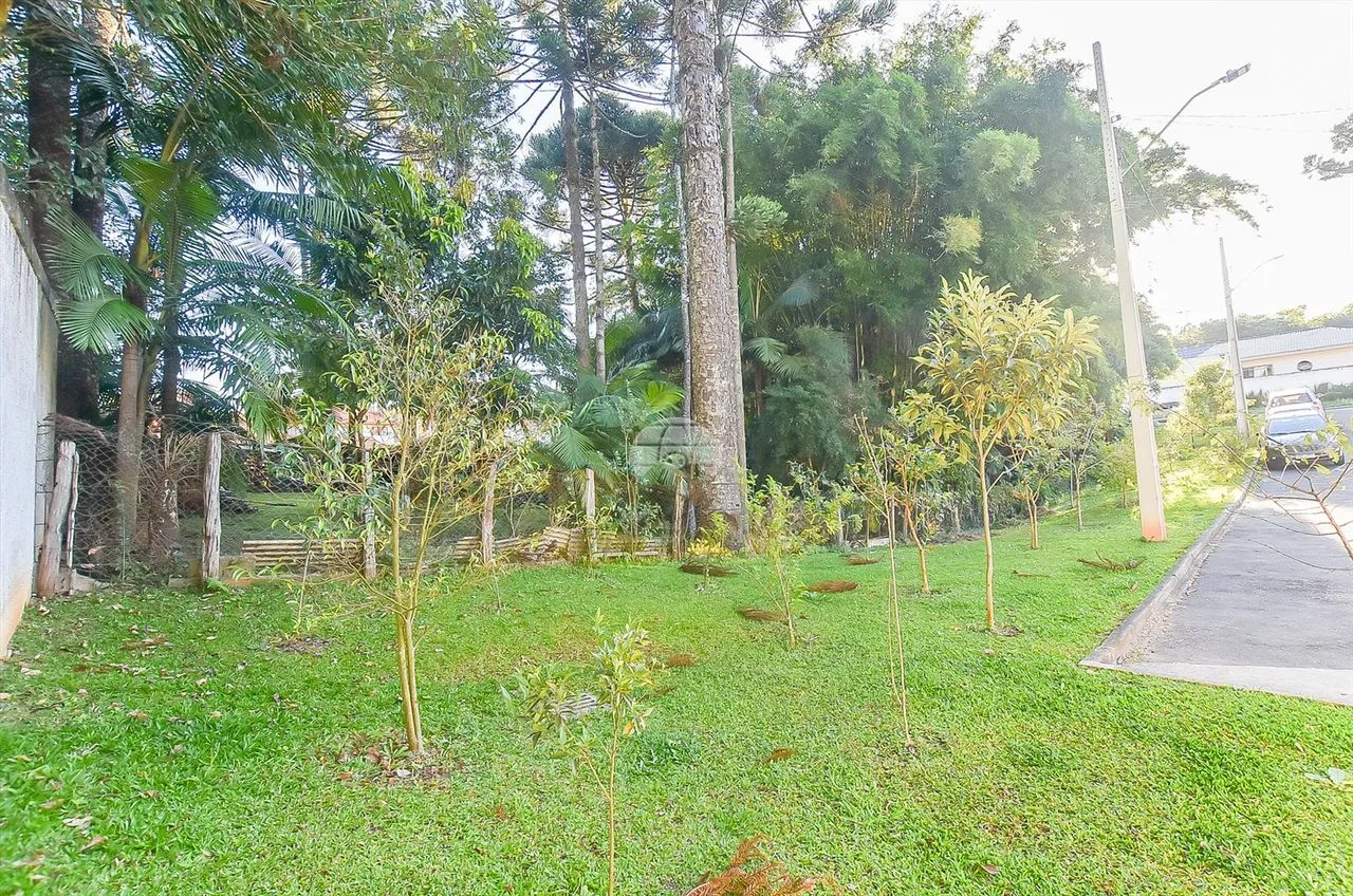 Vendas Terreno Curitiba PR - Foto 3